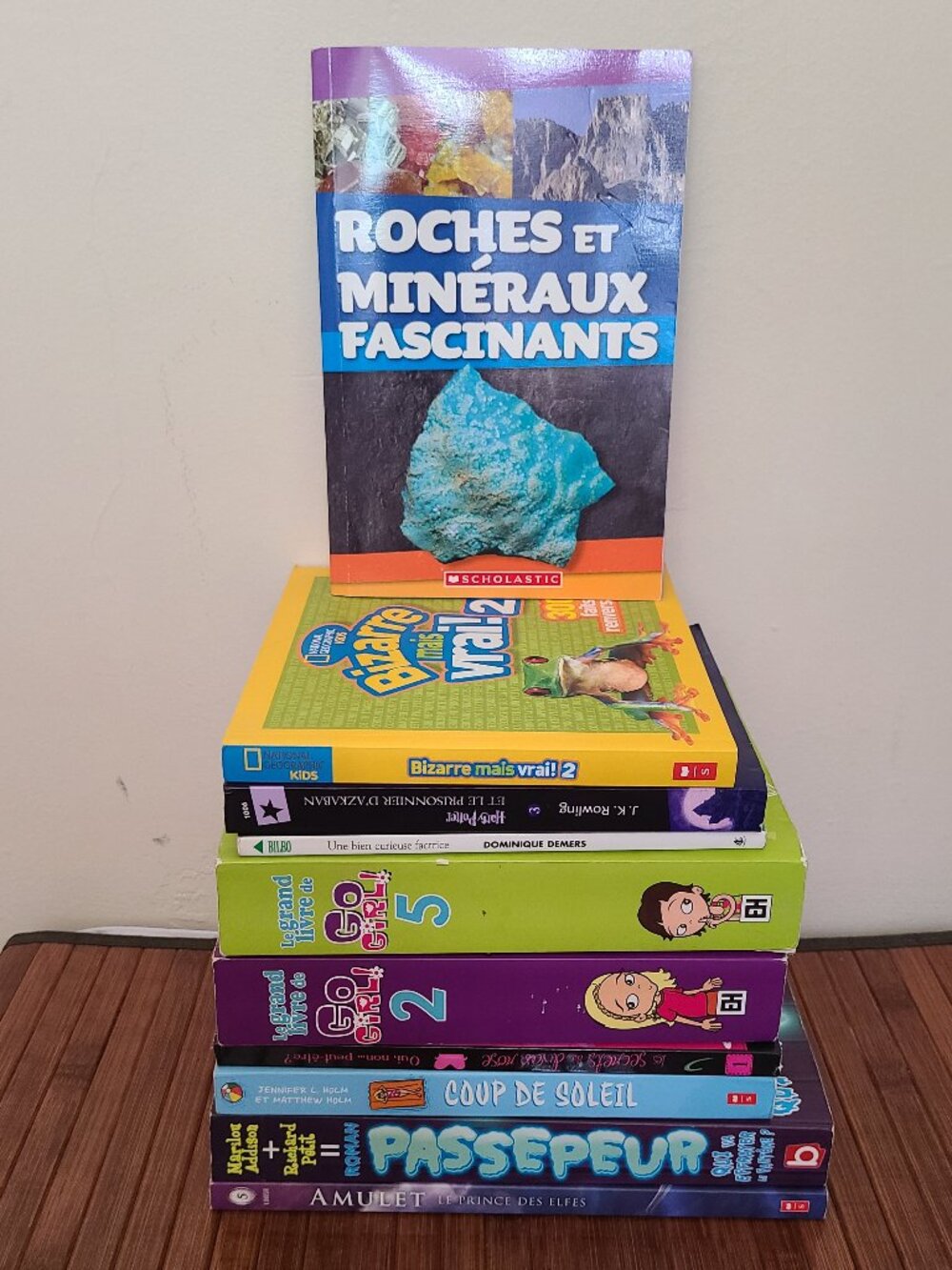 Ten French Kid's Paperback Books